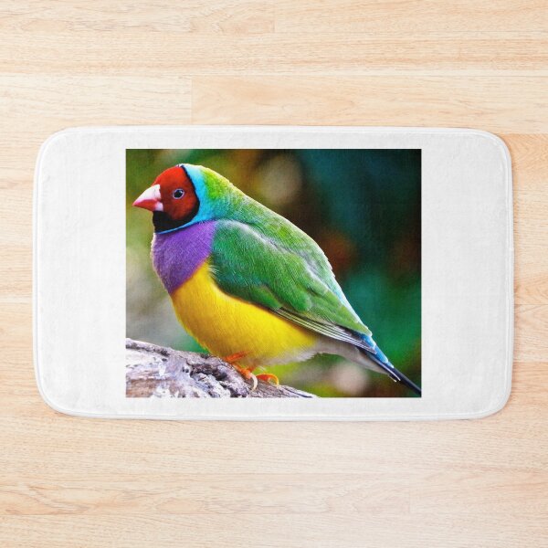 Item preview, Australian Gouldian Finch; an Endangered Species designed and sold by TonyMayoArt.