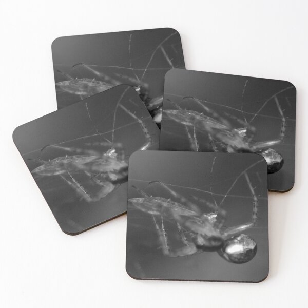 Artikelvorschau, SPOOKY SPIDER BITE! entworfen und verkauft von NICK COBURN PHILLIPS.