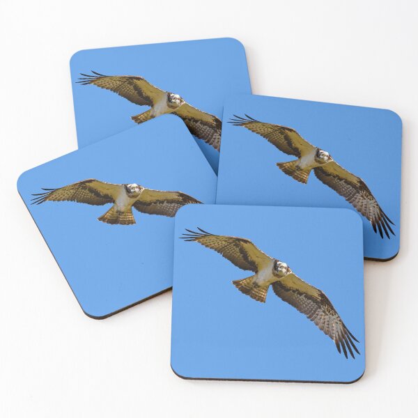 Item preview, Flying osprey with a target in sight designed and sold by Jukka Heilimo.