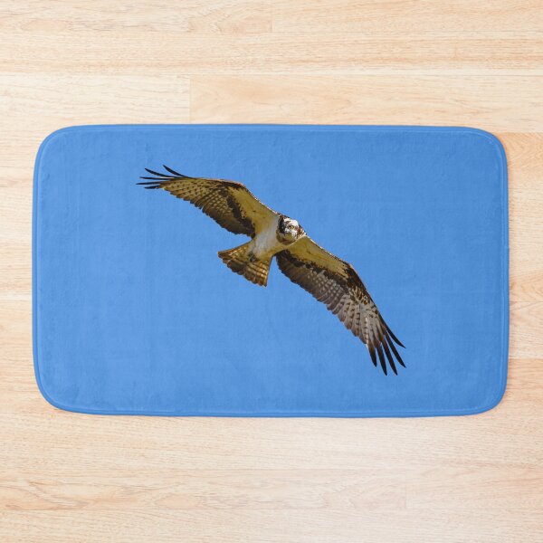 Item preview, Flying osprey with a target in sight designed and sold by Jukka Heilimo.
