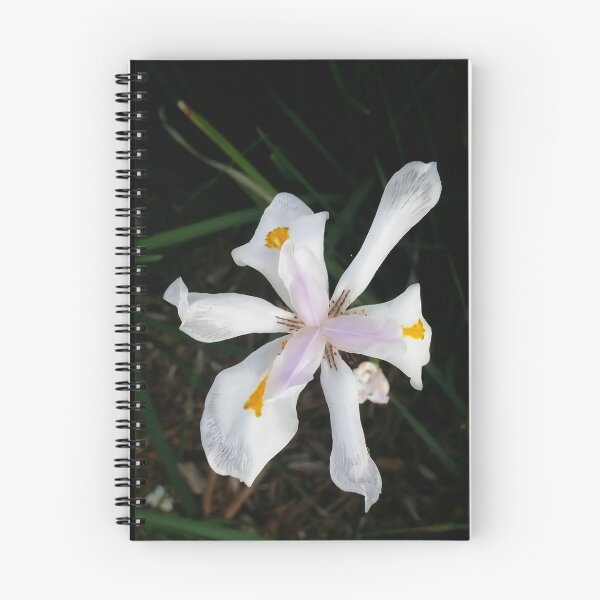 Item preview, White Iris DPSS20170522a designed and sold by CSteenArt.