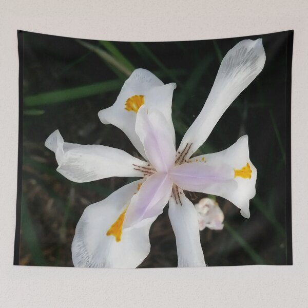 Item preview, White Iris DPSS20170522a designed and sold by CSteenArt.