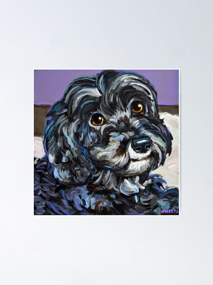 Schnoodle art best sale