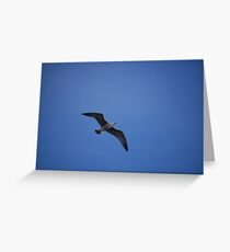 Flying bird Greeting Card
