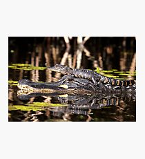 Like Mother, Like Baby Photographic Print