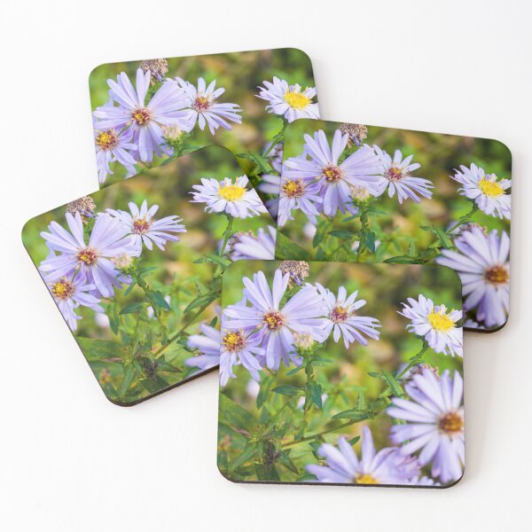 Aperçu de l'œuvre Asters de septembre créée et vendue par taritante.
