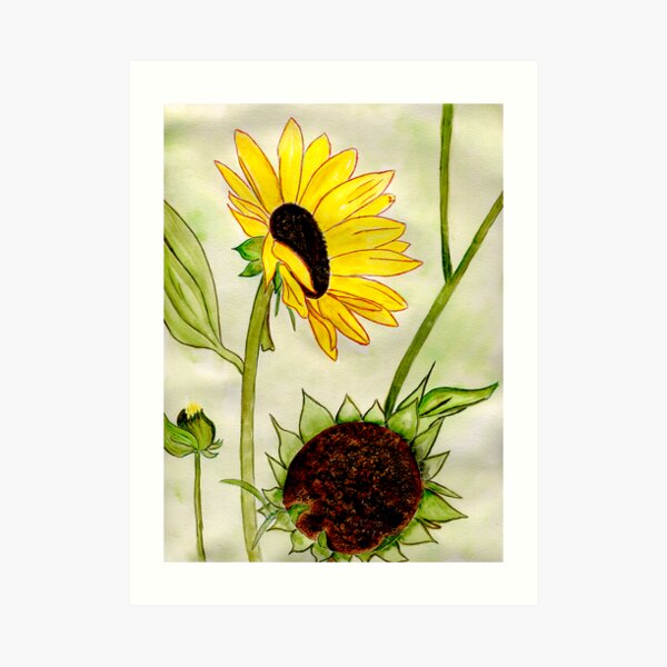 Warm Sunny Flowers Art Print