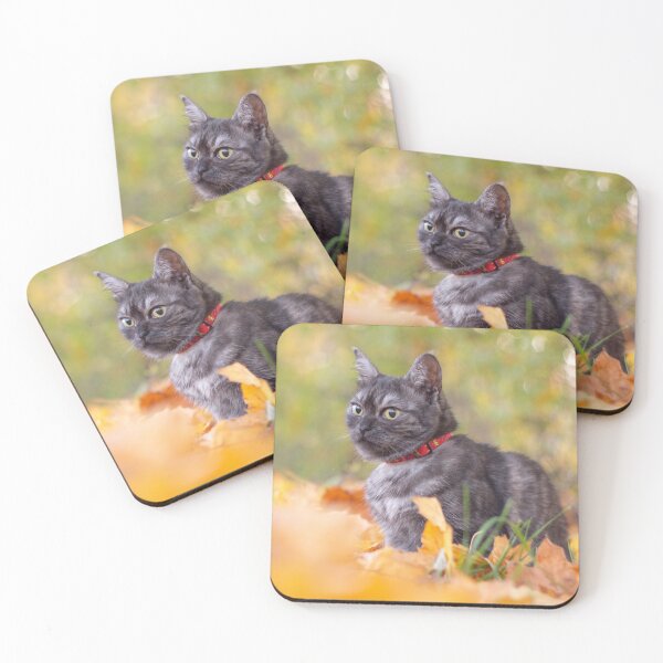 Item preview, Grey cat in autumn leaves.  designed and sold by Pokofoto.