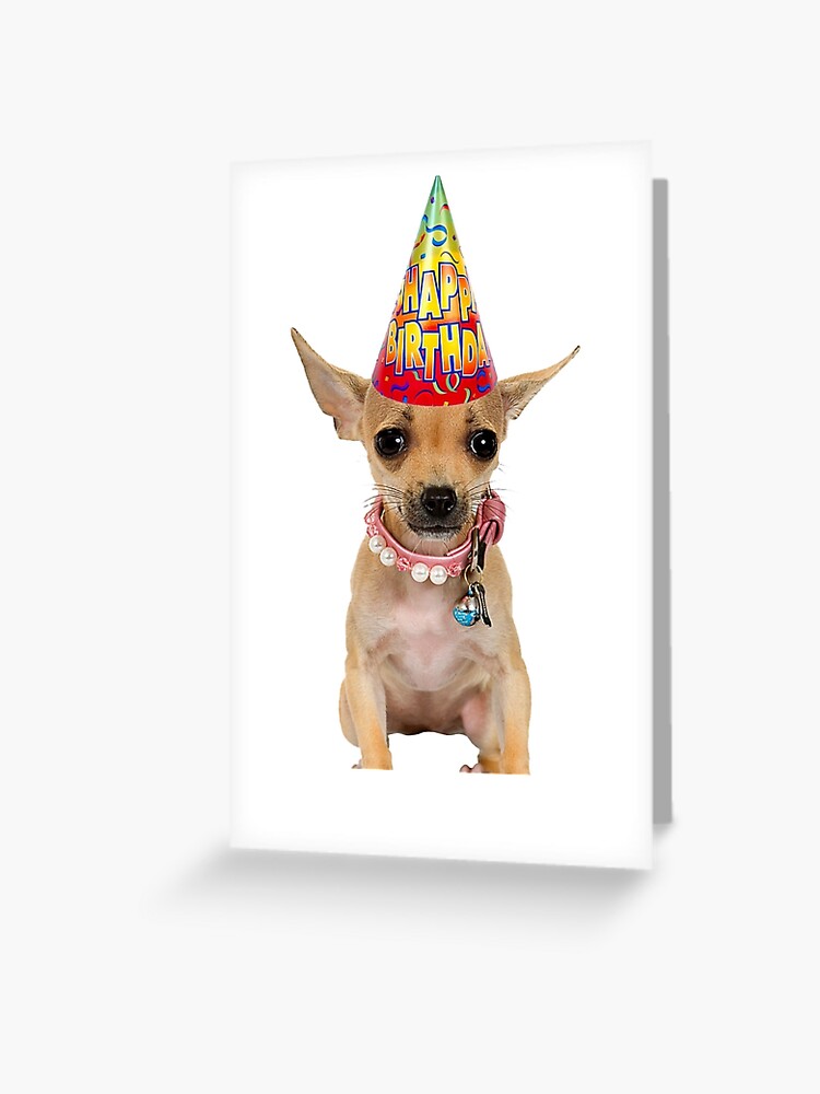 Carte De Vœux Anniversaire De Chihuahua Par Cafepretzel Redbubble