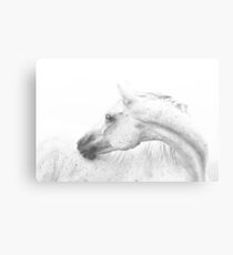 Silver Dapple Metal Print