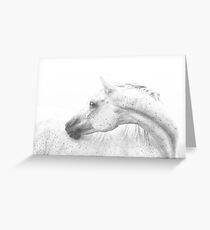 Silver Dapple Greeting Card