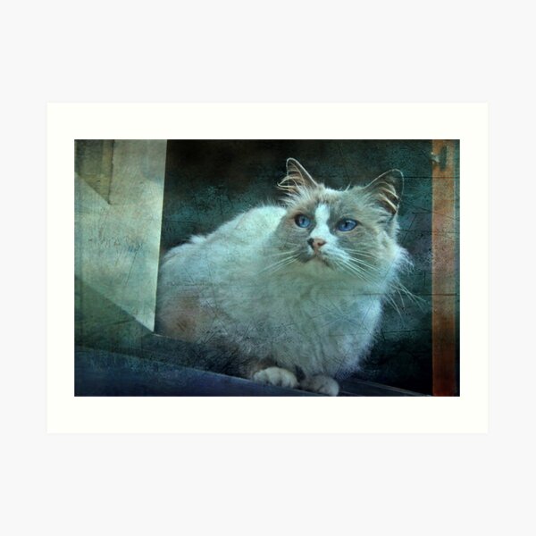 "JimBob ,in the WIndow ..." Art Print