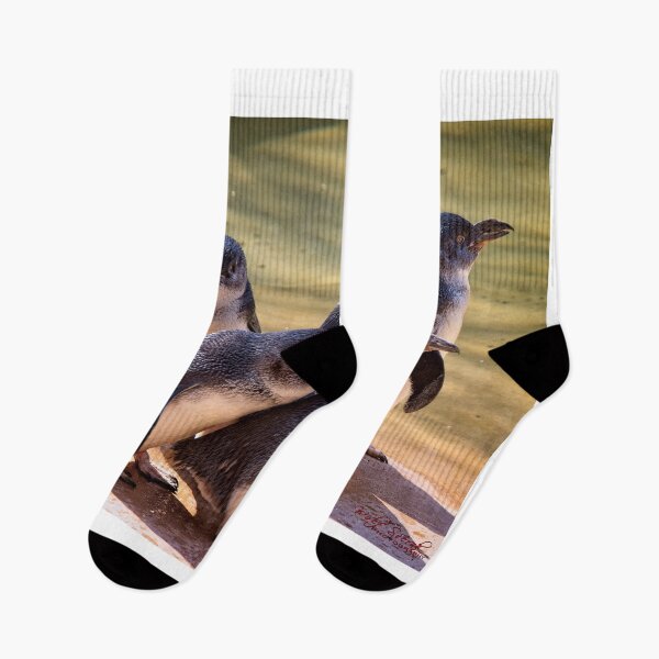 Item preview, Animal Portrait - Penguins (1) designed and sold by Wolf Sverak Photography.