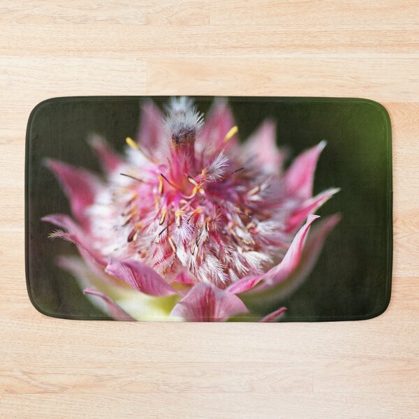 Item preview, Protea Small Pretty In Pink designed and sold by Joy Watson - Natural Light Photography .