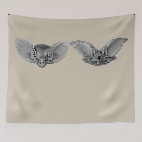 Item preview, The brown long-eared bat and the lesser long-eared bat. designed and sold by Squirrox.