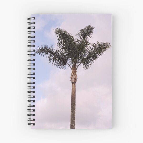 Item preview.