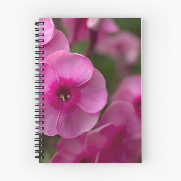 Item preview, Pink garden phlox on green background. Macro flowers designed and sold by olhakozachenko.