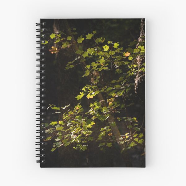 Item preview, Not Quite Autumn designed and sold by Ralph Goldsmith.