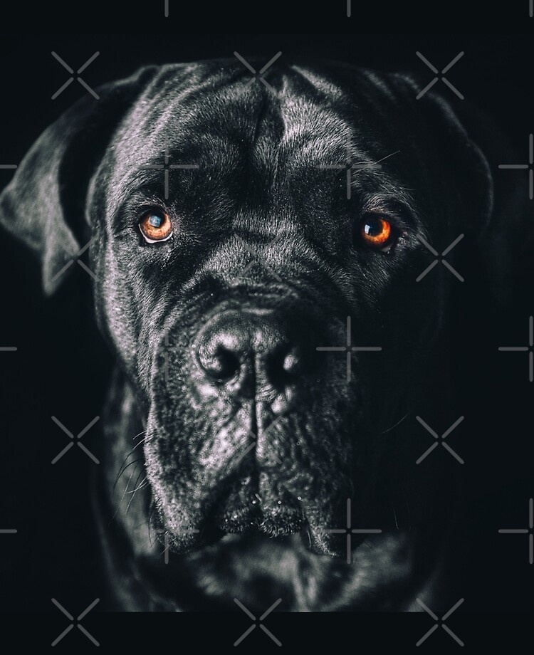 The Art Of Dog Cane Corso Italian Mastiff Ipad Case Skin By Repolme Redbubble