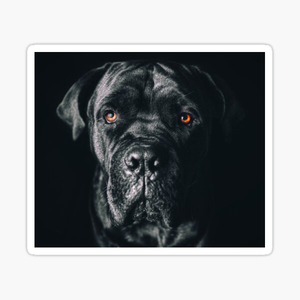 Item preview, The art of dog Cane Corso - Italian Mastiff designed and sold by repolme.