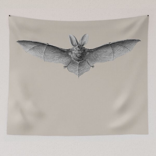 Item preview, The Australian brown long-eared bat.  designed and sold by Squirrox.
