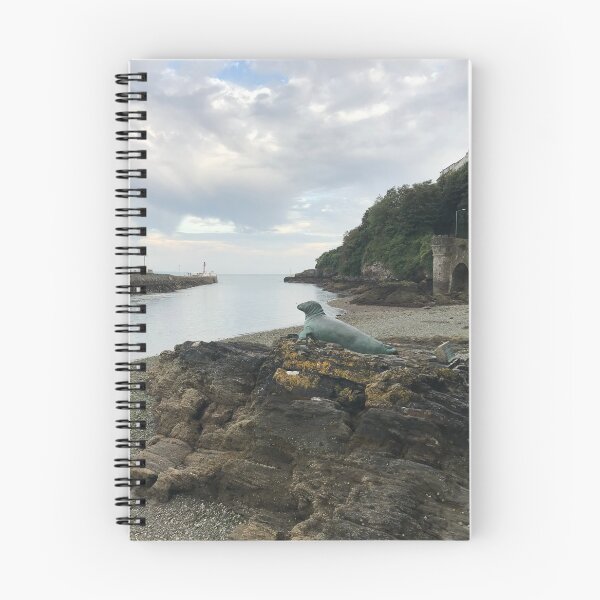 Item preview, England - Cornwall - Looe Seal designed and sold by Solveig Winn.