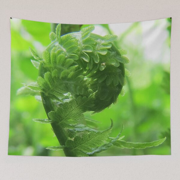 Item preview, Fern, Beginning Life designed and sold by Sharon Schwalbe.
