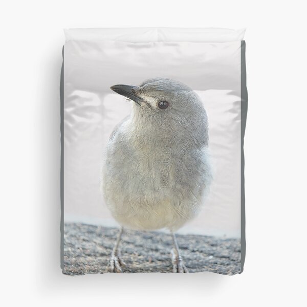 Australian Grey Thrush Shrike 3 Duvet Cover