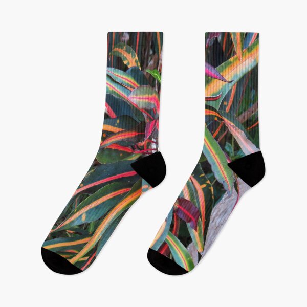 Item preview, Rainbow of Color, Tropical Plants designed and sold by Sharon Schwalbe.
