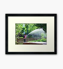 Summer Soaking Framed Print