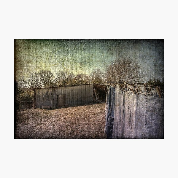 Good Day ~~ Sunshine!!! Photographic Print