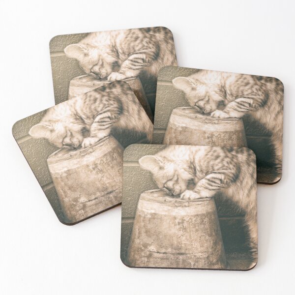 Item preview, Cat curiosity designed and sold by Pino 'Delfino' Esposito.