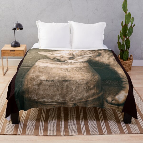 Item preview, Cat curiosity designed and sold by Pino 'Delfino' Esposito.