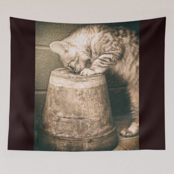 Item preview, Cat curiosity designed and sold by Pino 'Delfino' Esposito.