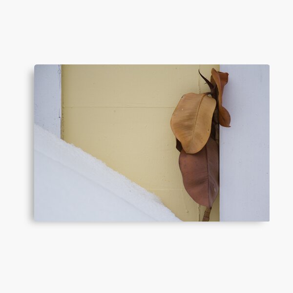 Former Life Canvas Print