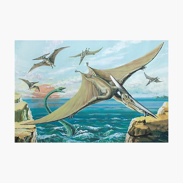 Pteranodon - Signed Fine Art Print