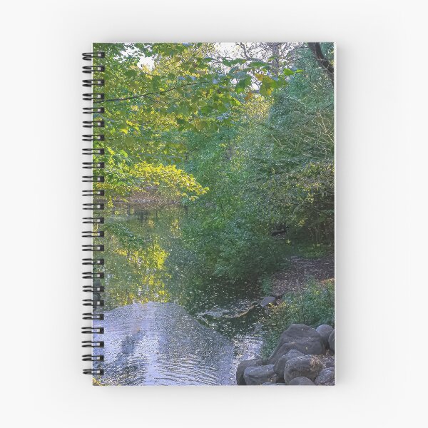 Item preview, Prospect Park designed and sold by 00Flyer.