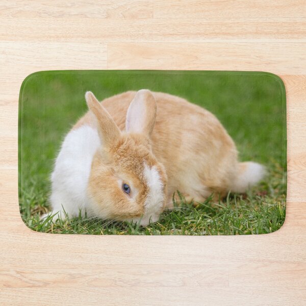 Item preview, Beautiful blue eyed bunny on green grass designed and sold by Jukka Heilimo.