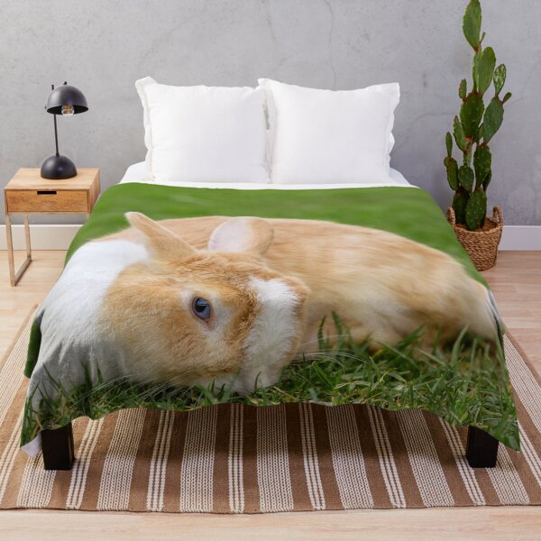 Item preview, Beautiful blue eyed bunny on green grass designed and sold by Jukka Heilimo.
