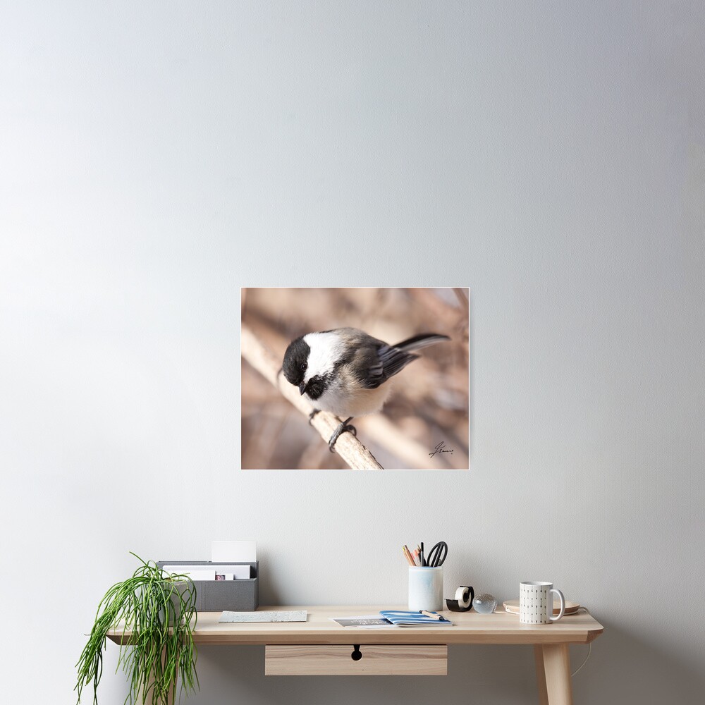 Vista previa del artículo con la obra «Póster», diseñado y vendido por DigitallyStill.