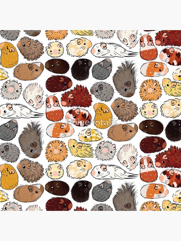 Guinea Pig Gradient by Paigekotalik