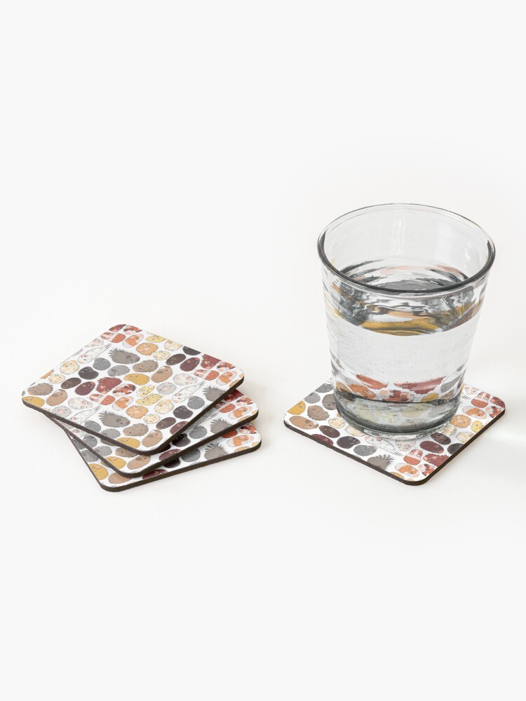 Alternate view of Guinea Pig Gradient Coasters (Set of 4)