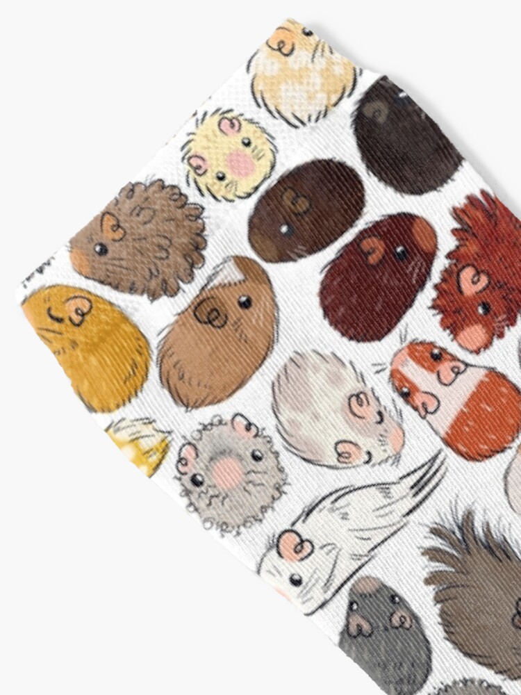 Alternate view of Guinea Pig Gradient Socks