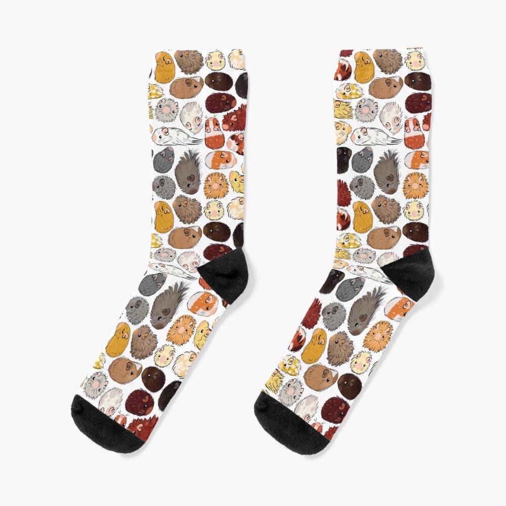 Guinea Pig Gradient Socks