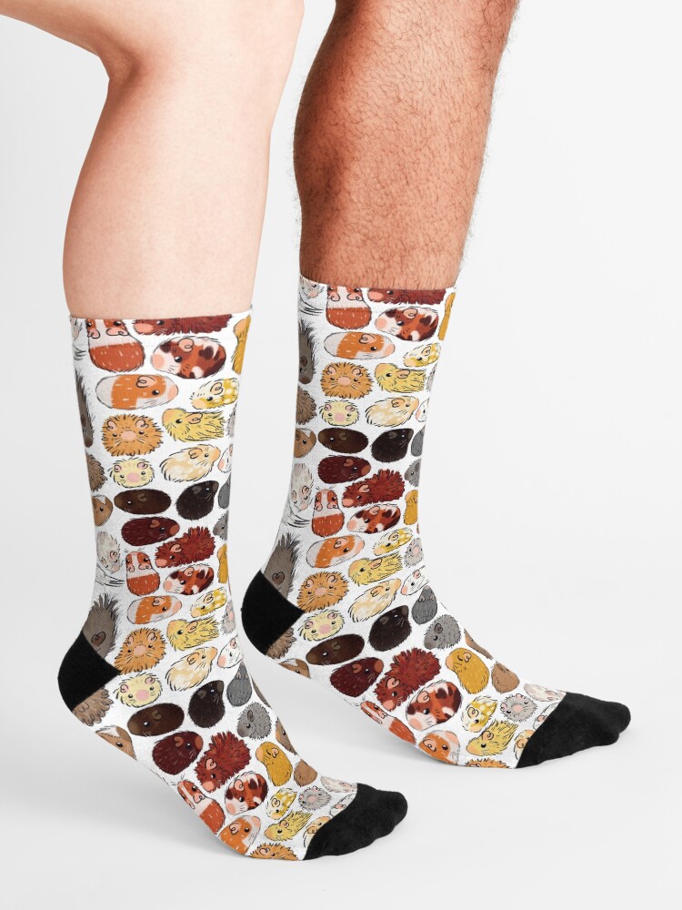 Alternate view of Guinea Pig Gradient Socks