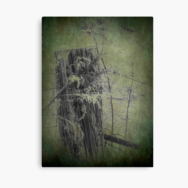 Of Wood and Wire ll Canvas Print