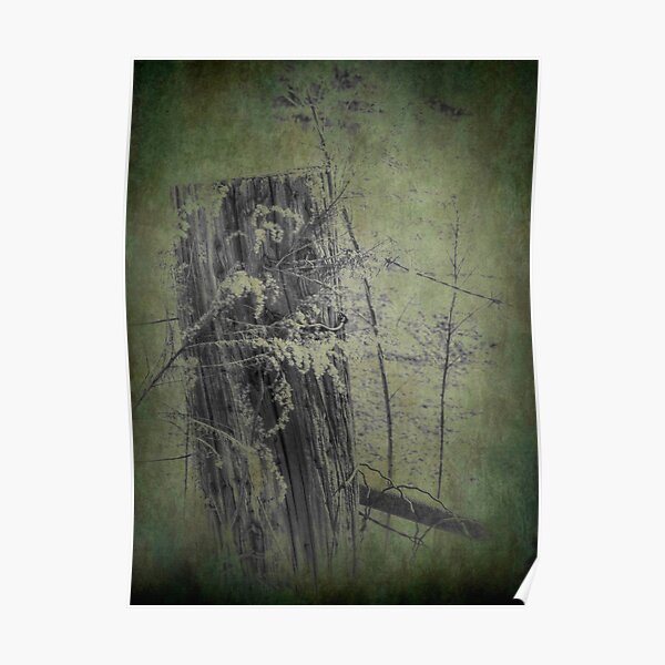 Of Wood and Wire ll Poster