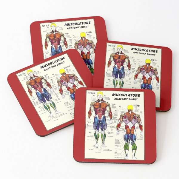 Item preview, MUSCULATURE : Body Building Anatomy Chart Print designed and sold by posterbobs.