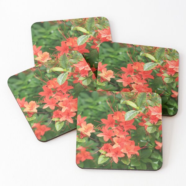 Item preview, Wild Azaleas on Hoopers Bald, NC designed and sold by DHParsons.