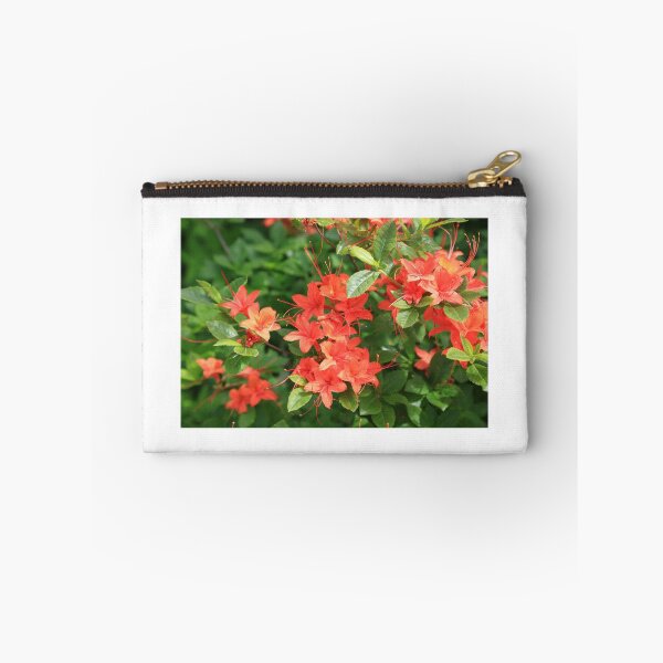 Item preview, Wild Azaleas on Hoopers Bald, NC designed and sold by DHParsons.